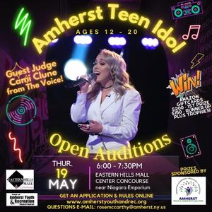 Amherst Teen Idol 1