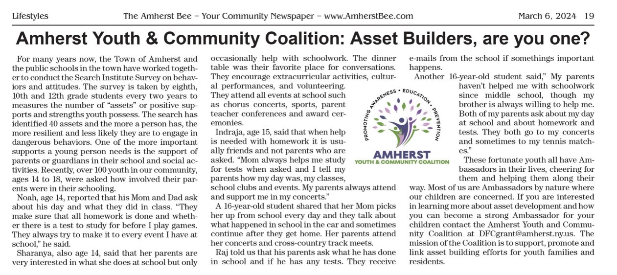 Amherst Youth & Community Coalition:  Asset Builders, are you one? Image