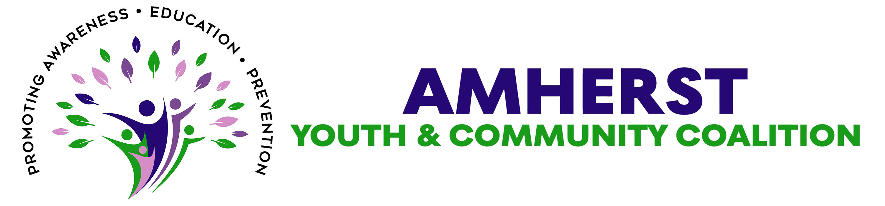 AMHERST Youth & Community Coalition