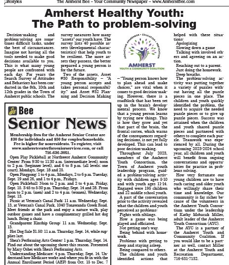 Amherst Healthy Youth:  The path to problem solving Image